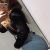 zeytinburnu escort